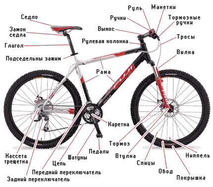 Анатомия горного велосипеда