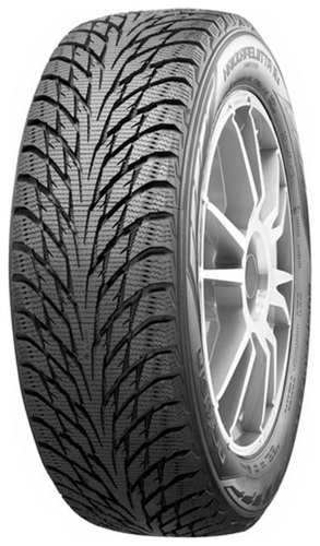 Nokian Hakkapeliitta R2 245/50 R18 104R XL