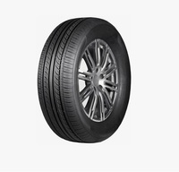 Doublestar 195/65 R15 91V DH05