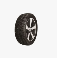 Doublestar DW01 205/55 R16 91T ш.